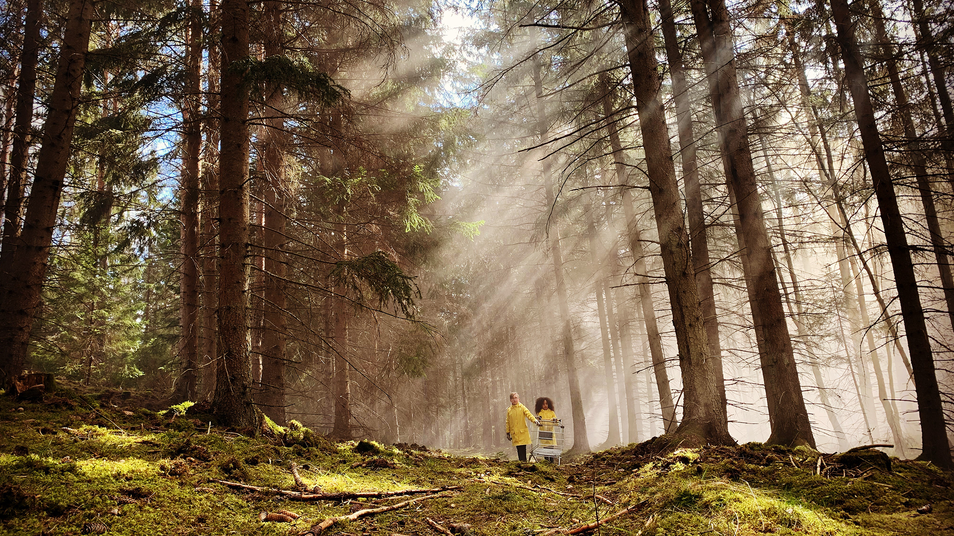 Två barn i gula regnrockar går med en kundvagn genom en skog